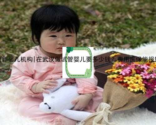 三明供卵婴儿机构|在武汉做试管婴儿要多少钱？费用医保能报销吗？