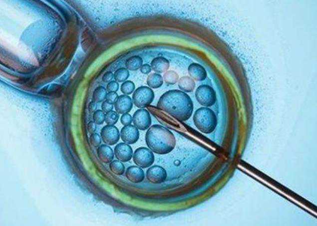  三明代孕机构有做过吗_三明哪里提供代孕_月经第五天基础卵泡13个是多囊吗？